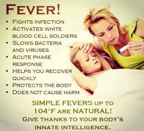 Fever health benefits
