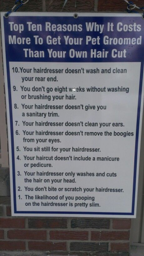 23915585_767932673406126_363874700551768021_n