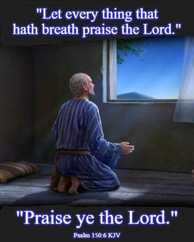 9e4dc7d7-efa8-412a-899d-06bd9ede725b