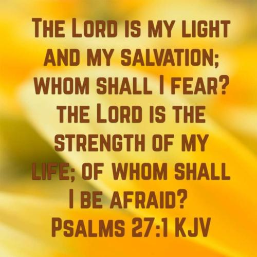 0f3010b1-e4cf-42b1-92ed-f63fbdf9694a