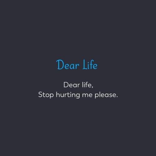 FB_IMG_1702234996942