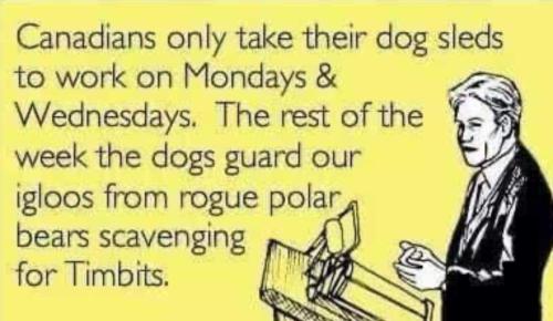 Canadian dogsleds