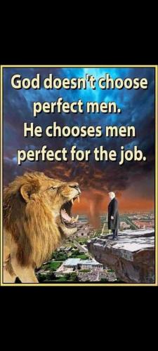 Screenshot_20230804-135643_Gallery