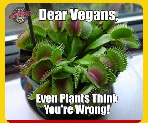 Screenshot_20231204_045438_Messenger