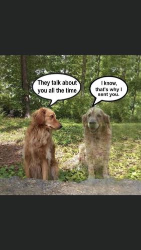 69a82a88a2650cfa763de19a54eb5750