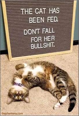 il_fullxfull.4685785238_kqc5