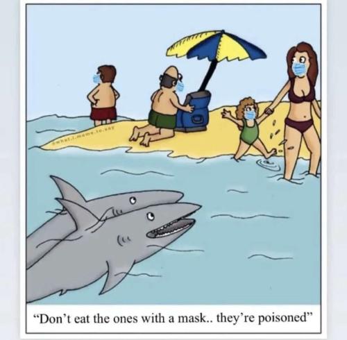 IMG_20231203_082557_635