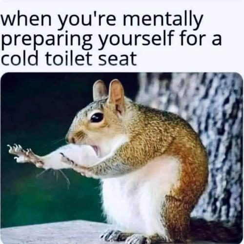 FB_IMG_1703230226928