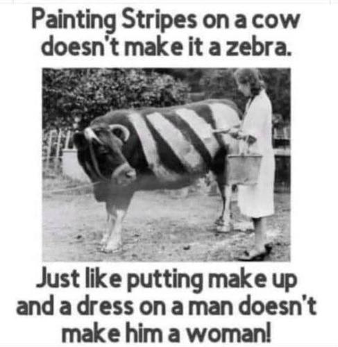 407566320_690119656555020_5028499658901135746_n