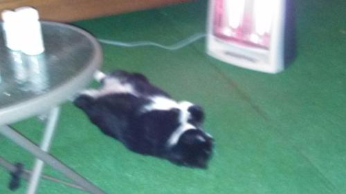 IMG_20131227_201154_379