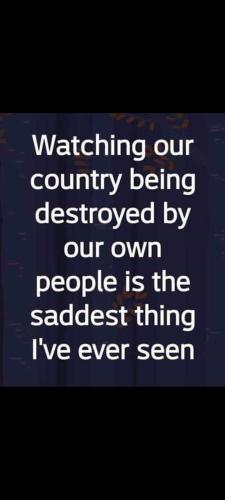 Screenshot_20231215-131235_Gallery