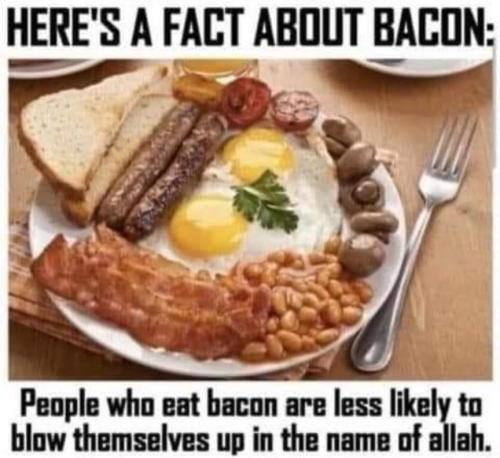 bacon g