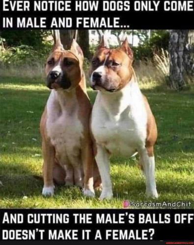 654ec8a9116f634187b4a8ad8662cbf672ffb71be3f0322e29c1a9046f2f56c6_1