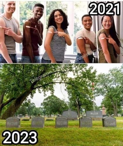 IMG_20231223_033643_385