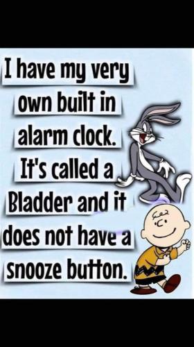 it's called a bladder