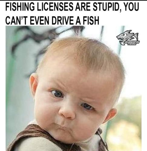 FB_IMG_1702877411428