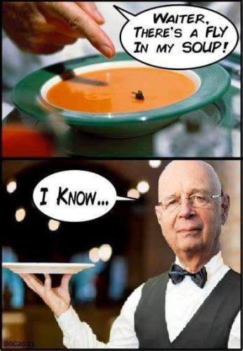 IMG_20231226_105231_459