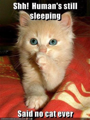 sngine_eab14a74d9ed1ba5983be08f8dba8cc0