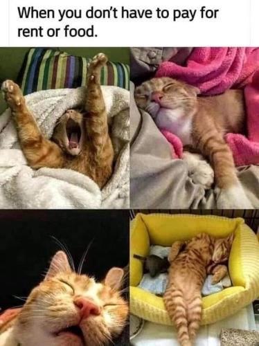 fbdc005755bddb3db8037ce01f0573b2