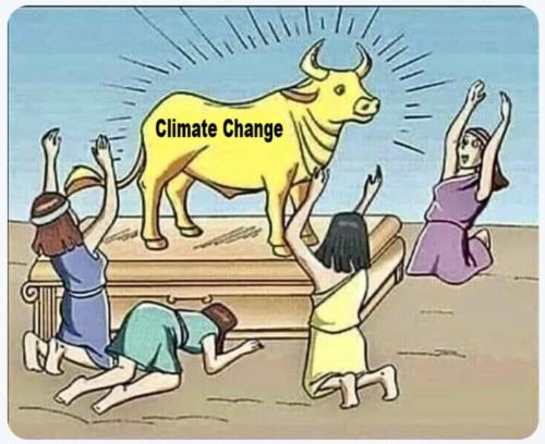 Screenshot_20231217-094516_Brave - Nightly