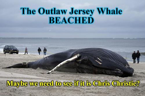 Outlaw Jersey Whale BEACHED960px