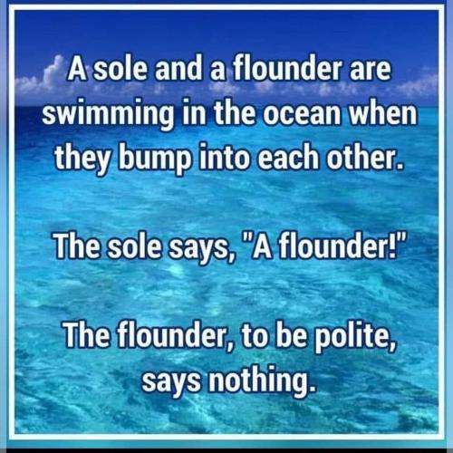 FB_IMG_1703738298969