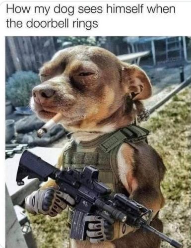 sngine_c8b6fe5ed58ae0d9cbd97bd9becd8c00