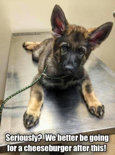 5c571a1482667dcd7c93ac1ed25a6500