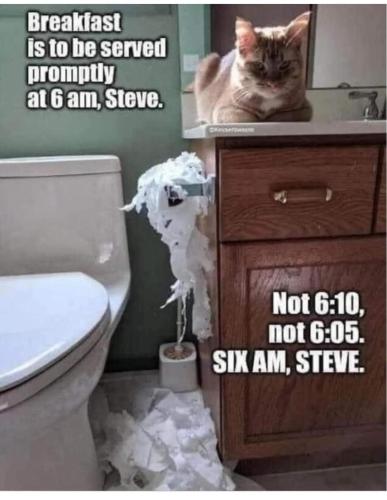 FB_IMG_1703909972682