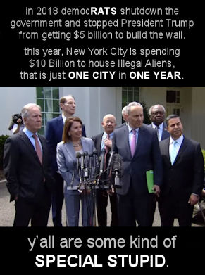 illegal immigration369