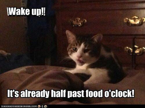 104fec15f665856e6fa7142694ee6728