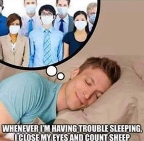 FB_IMG_1701898556931