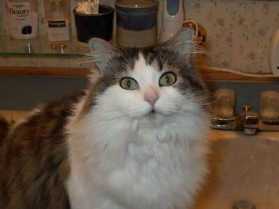 1307994018862 - Copy