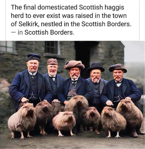 FB_IMG_1702944610957