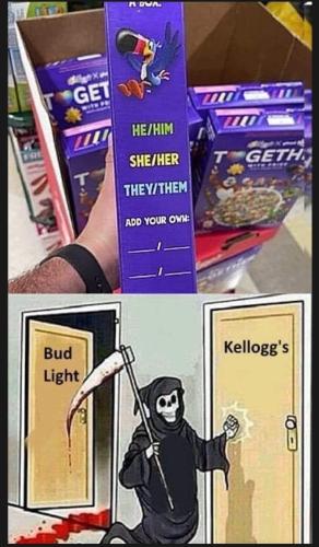 408091741_2848889178583277_6496471318417419979_n