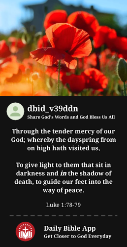 2023-12-221703228033369