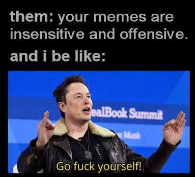 your memes are insensitive and offensive