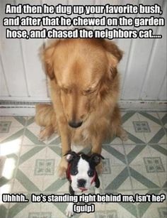 a297316276d506283cd95bbf7ec43ab7