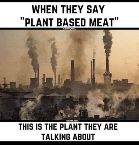 plant meat