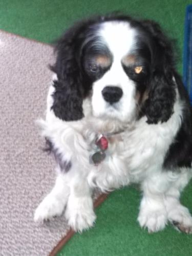 IMG_20130531_091241_888