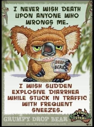 FB_IMG_1701877750521