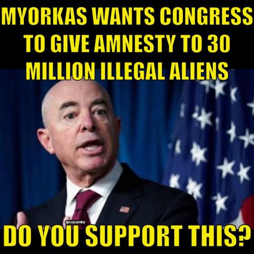 Mayorkas illegals