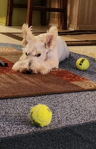 16:40:53 GMT-0600 (CST)