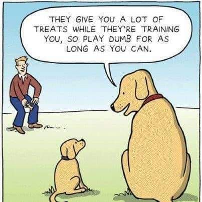 7ef26f63c062d323f831b636fdf91353