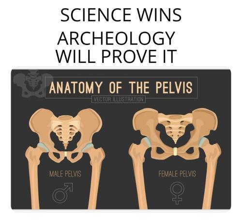 50731cf9-c866-4309-a3cd-b710f5808b47