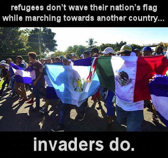 illegal immigration368