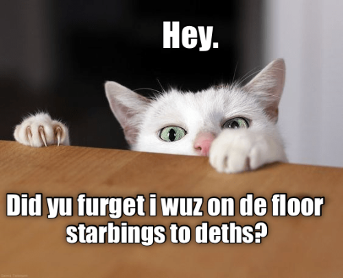 while-you-are-talking-and-talking-im-dying-of-starvation