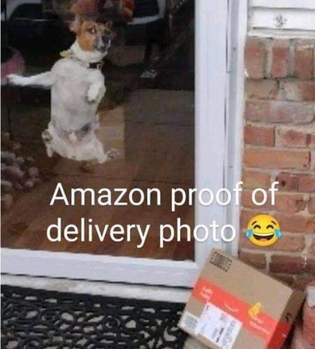 FB_IMG_1702181834621
