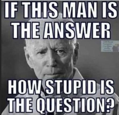 Stupid+Question
