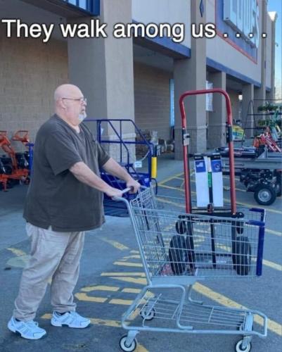 img - 2023-12-02T100007.132